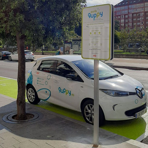punto guppy en el barrio de la arena gijon
