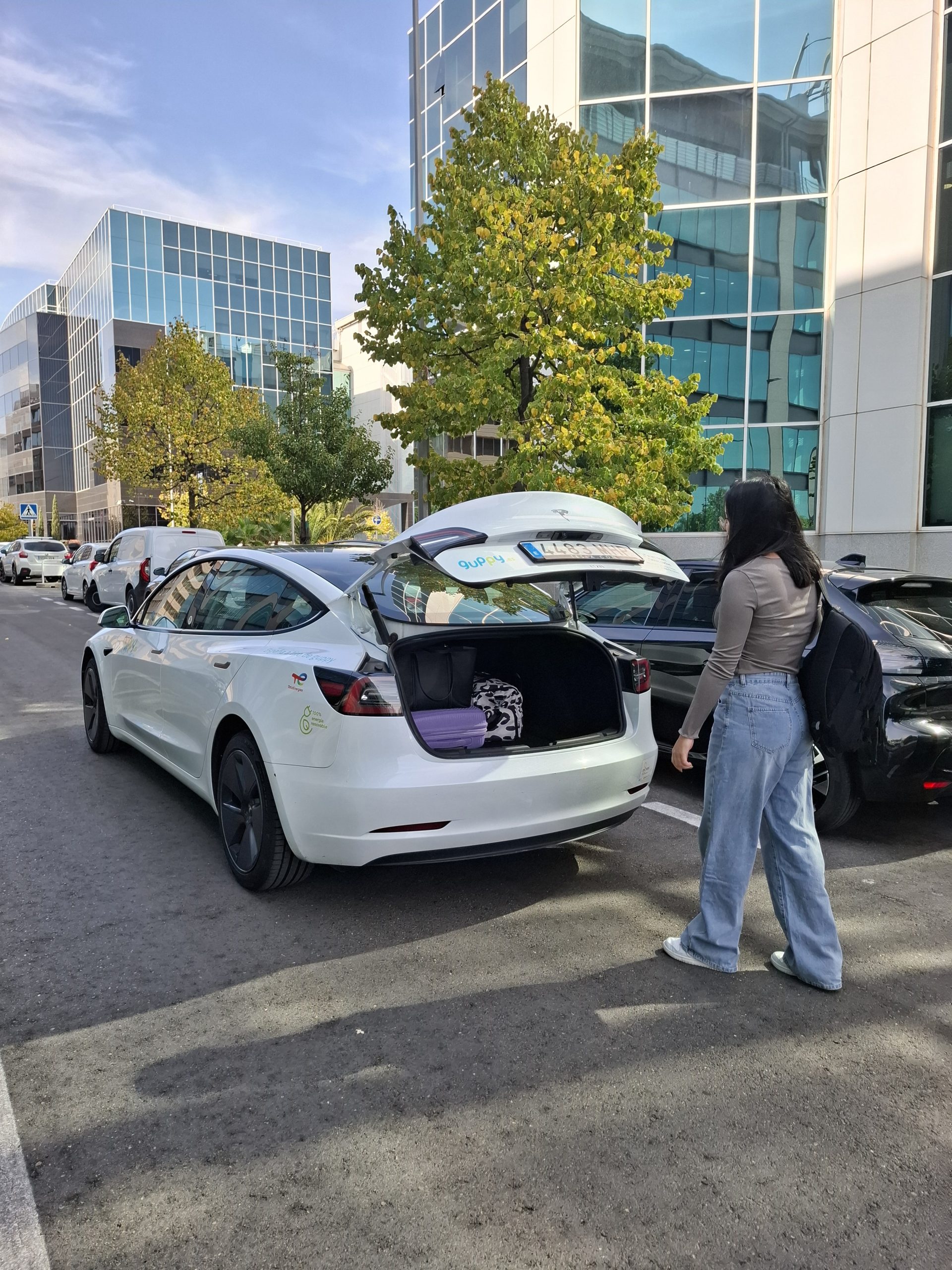 alquiler coche Madrid larga duración